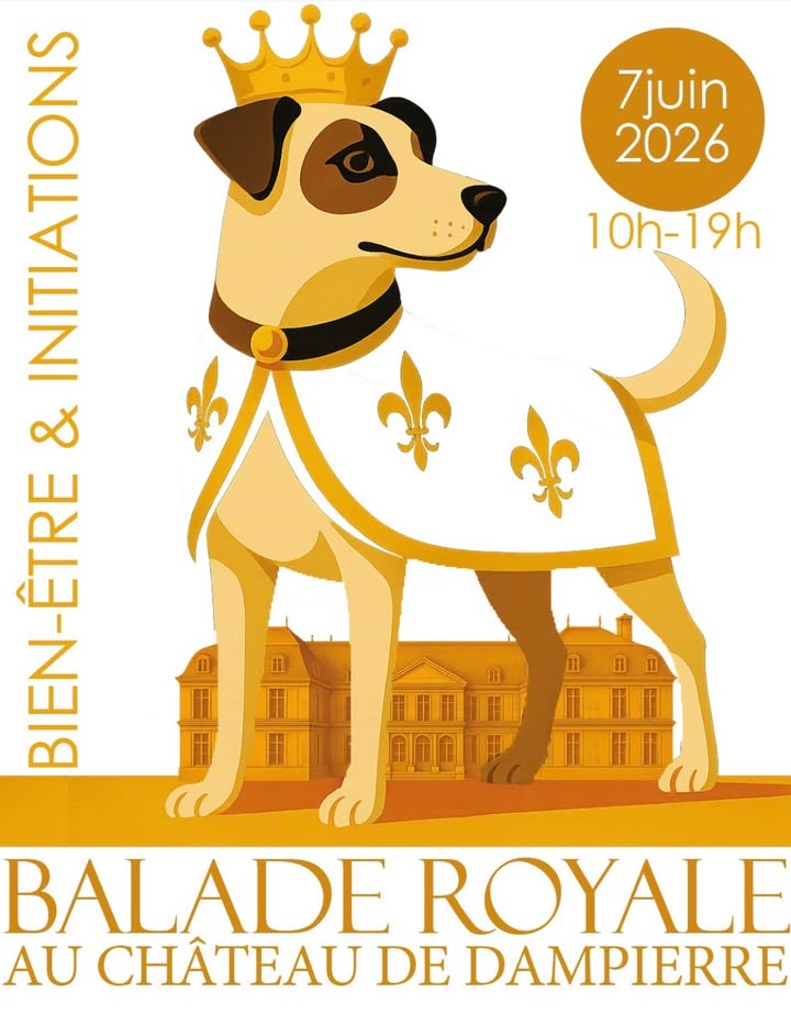Doga & Massage canin | Balade Royale à Dampierre en Yvelines Dimanche 7 juin