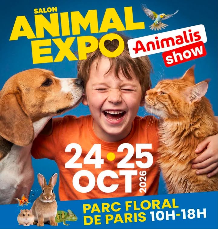 Doga & Massage canin au salon du bien-être ANIMAL EXPO les 24 & 25 octobre | Parc Floral de Paris - Bois de Vincennes