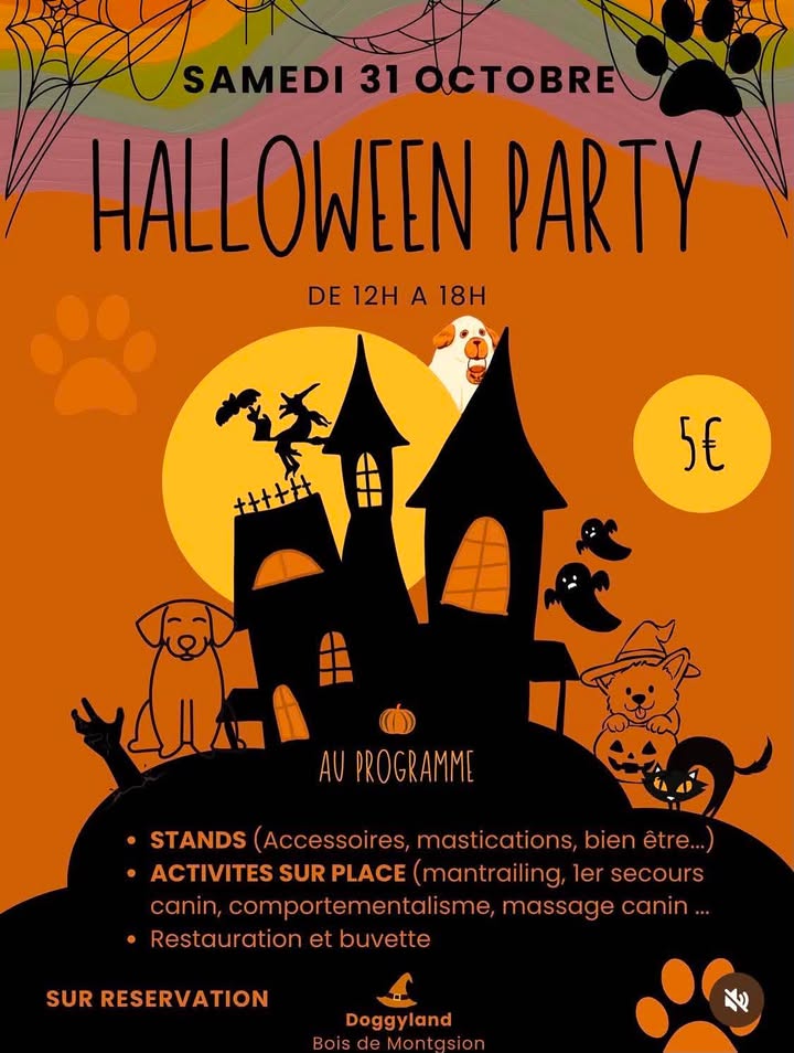 HALLOWEEN PARTY chez DOGGYLAND - La récré des Toutous (78)